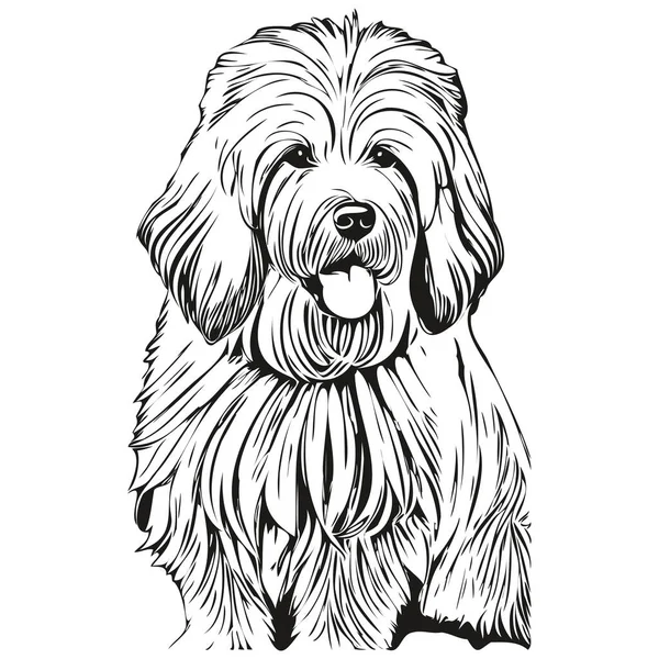 Velho Inglês Sheepdog Gráficos Vetor Cão Mão Desenhada Lápis Animal — Vetor de Stock