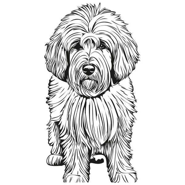 Old English Sheepdog Dog Vektor Graphik Handgezeichnete Bleistift Animal Line — Stockvektor