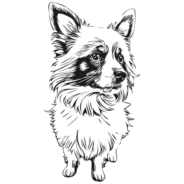 Papillon Cão Cão Desenho Animado Rosto Tinta Retrato Desenho Esboço — Vetor de Stock