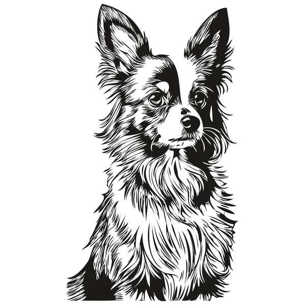 Папийонская Собака Рисунок Линии Породы Клип Животного Рисунок Руки Животного — стоковый вектор
