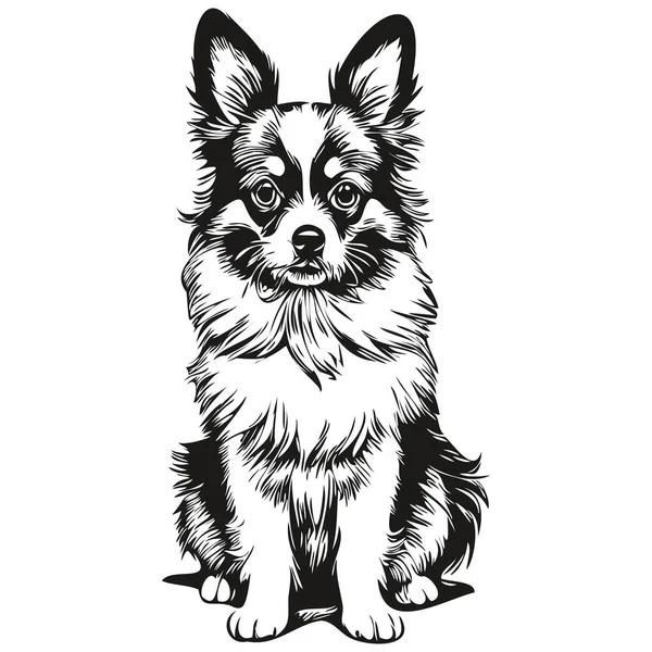 Papillon Dog Dog Hand Drawn Logo Drawing Black White Line — Stock Vector