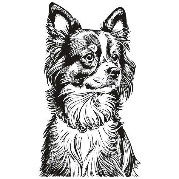 Papillon Собака Логотип Вектор Черно Белый Винтажные Милые Головы Собаки — стоковый вектор