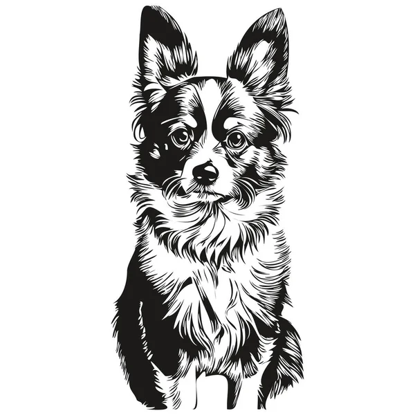 Папийонская Собака Логотип Вектор Черно Белый Винтажные Милые Головы Собаки — стоковый вектор