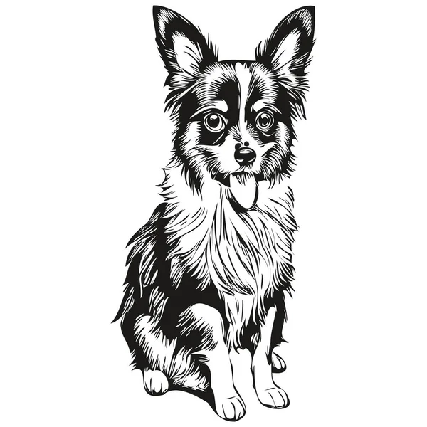 Папийонская Собака Набросок Карандаша Рисунок Черный Символ Белом Фоне — стоковый вектор