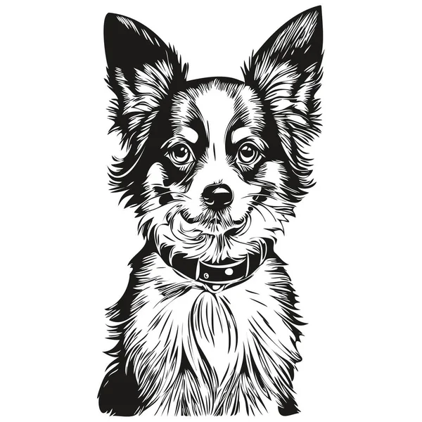 Портрет Собаки Папиллона Векторе Рисунок Руки Животного Татуировки Напечатанной Футболке — стоковый вектор
