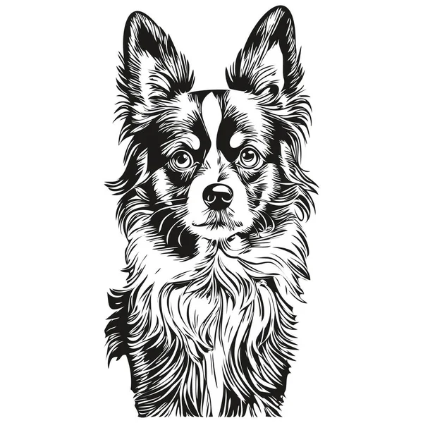 パピヨン犬ペットのスケッチイラスト 黒と白の彫刻ベクトルのスケッチの描画 — ストックベクタ
