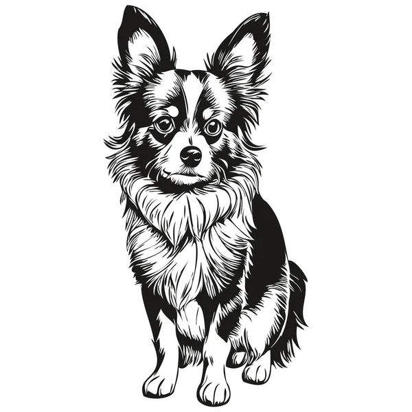 Papillon Собака Футболку Отпечаток Черно Белый Милый Смешной Очертания Рисунок — стоковый вектор