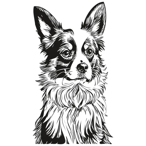 Ppapillon Dog Vector Face Draw Portrait Sketch Vintage Style 스케치 — 스톡 벡터