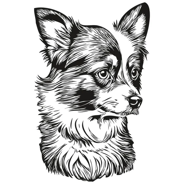 Собака Папільйон Векторна Графіка Ручна Намальована Олівець Тваринна Лінія Ілюстрація — стоковий вектор