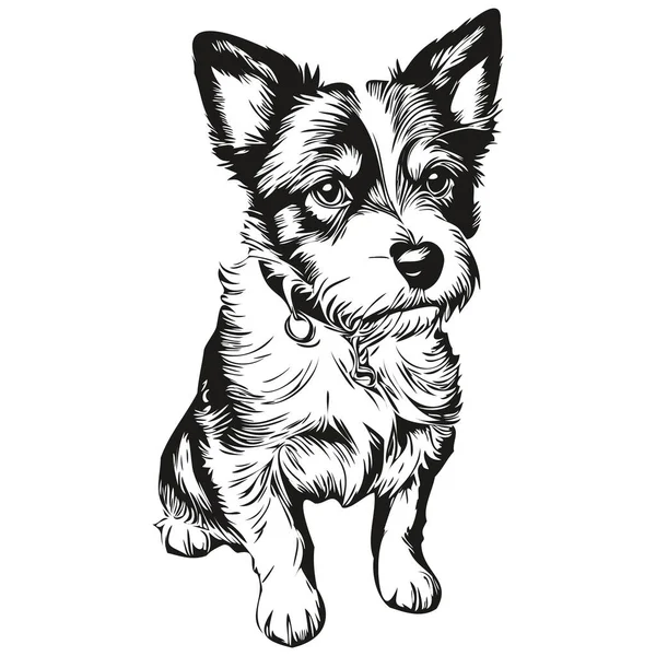 Parson Russell Terrier Dog Line Illustration Black White Ink Sketch — 스톡 벡터