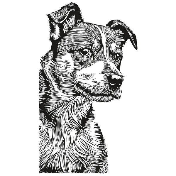 Parson Russell Terrier Cão Pet Esboço Ilustração Vetor Gravura Preto — Vetor de Stock