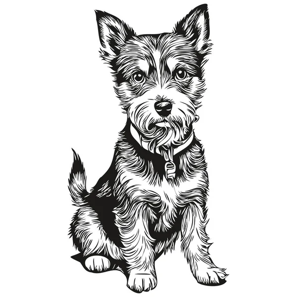 Parson Russell Terrier狗T恤黑色和白色 可爱有趣的轮廓绘制矢量 — 图库矢量图片