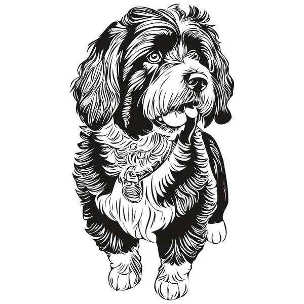 Portugiesischer Wasserhund Graviert Vektor Porträt Gesicht Cartoon Vintage Zeichnung Schwarz — Stockvektor
