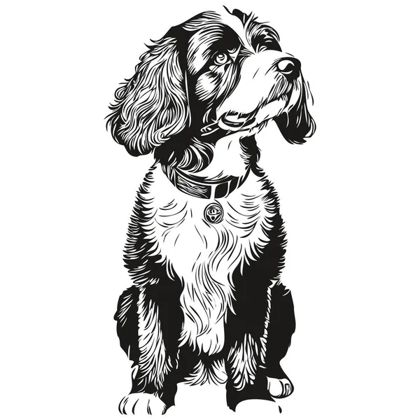 ポルトガル語水犬のベクトルの肖像画を刻ま 黒と白のスケッチの描画で顔の漫画のヴィンテージ図面 — ストックベクタ