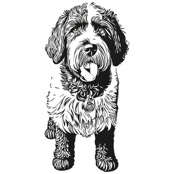 ポルトガル語水犬の顔ベクトルの肖像画 面白いアウトラインペットイラスト白い背景スケッチの描画 — ストックベクタ
