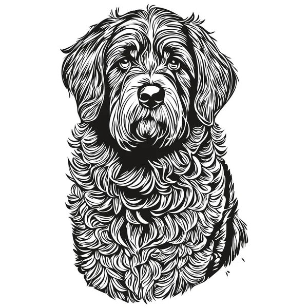 Португальская Водяная Собака Нарисовал Логотип Рисунок Черно Белая Линия Живописи — стоковый вектор