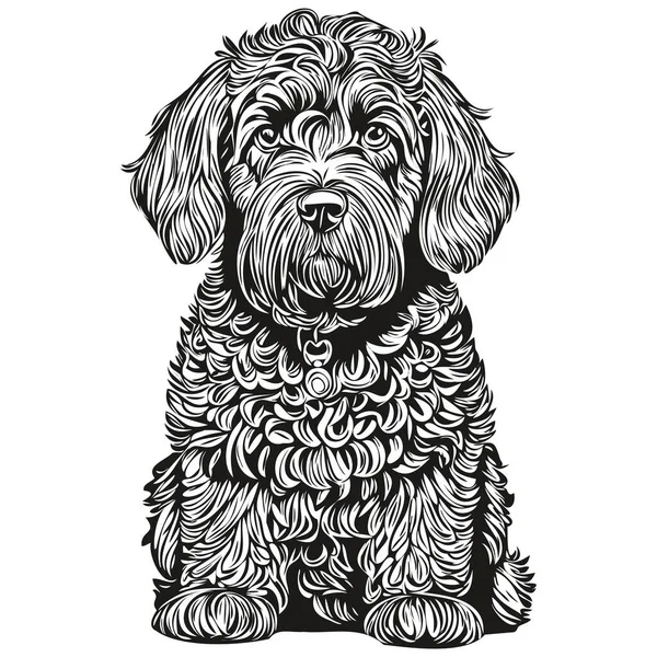 Português Water Dog Head Line Drawing Vector Ilustração Desenhada Mão —  Vetores de Stock