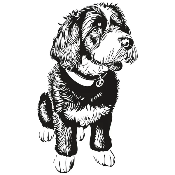 Portugiesischer Wasserhund Isoliert Zeichnung Auf Weißem Hintergrund Kopf Haustierlinie Illustration — Stockvektor