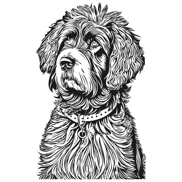 葡萄牙水犬标志载体黑白相间 老旧可爱的狗头雕刻逼真的品种宠物 — 图库矢量图片