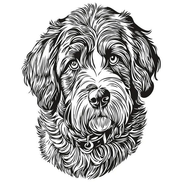 ポルトガルの水の犬のロゴベクトル黒と白 ヴィンテージかわいい犬の頭が刻まれた — ストックベクタ