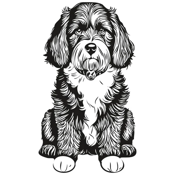 ポルトガル語水犬鉛筆手描きベクトル アウトラインイラストペットの顔のロゴ黒と白のスケッチの描画 — ストックベクタ