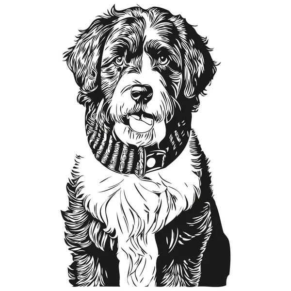 Portugisiska Vatten Hund Porträtt Vektor Djur Hand Ritning För Tatuering — Stock vektor
