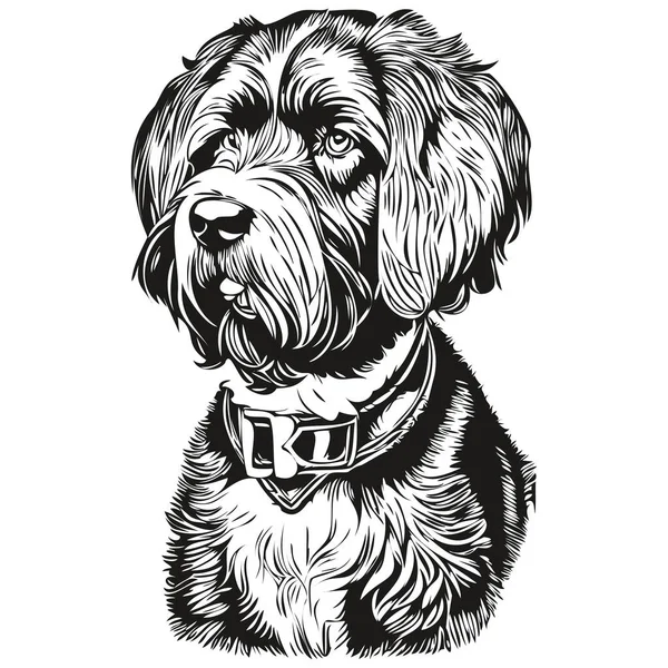 ポルトガル語水犬の肖像画ベクトル 動物の手の入れ墨やTシャツの印刷イラストのスケッチの描画 — ストックベクタ
