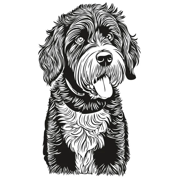 Portugál Water Dog Realisztikus Ceruza Rajz Vektor Line Art Illusztráció — Stock Vector