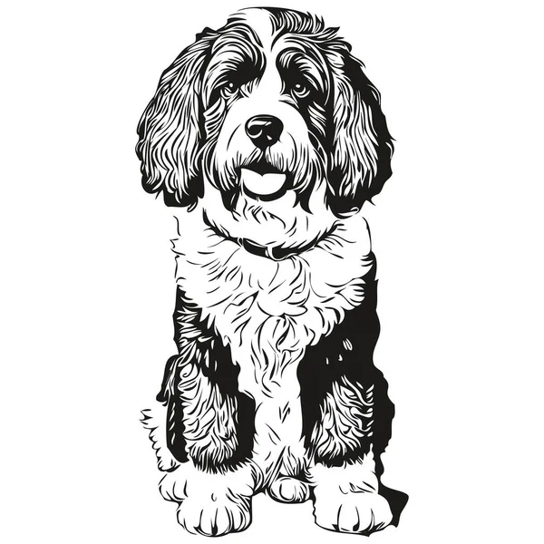 Португальская Водяная Собака Реалистичный Карандаш Рисунок Векторе Линия Художественной Иллюстрации — стоковый вектор