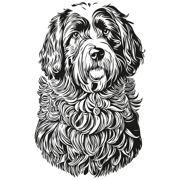 Portugees Water Hond Realistisch Huisdier Illustratie Hand Tekening Gezicht Zwart — Stockvector