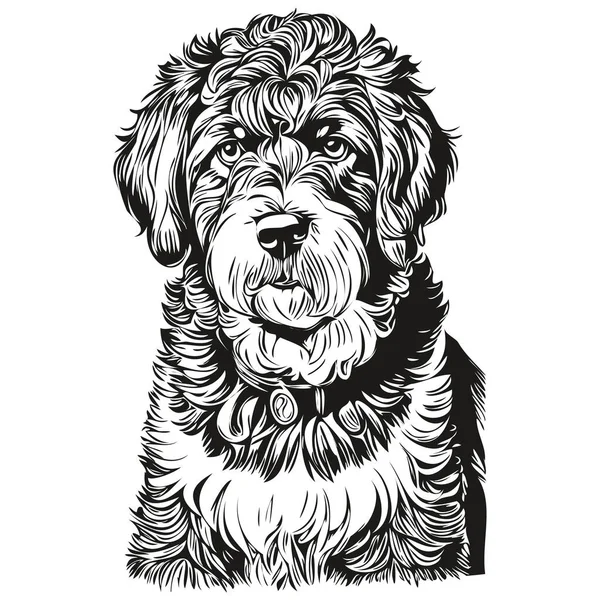 Portugál Water Dog Realisztikus Kisállat Illusztráció Kézrajz Arc Fekete Fehér — Stock Vector