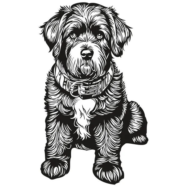 Portuguese Water Dog Silhouette Pet Character Clip Art Vector Pets — Stock Vector