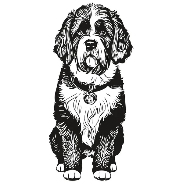 Portuguese Water Dog Vector Face Drawing Portrait Sketch Vintage Style — Stock Vector