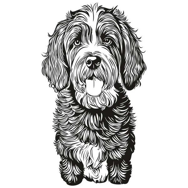 Португальська Водяна Собака Векторний Малюнок Обличчя Портрет Ескіз Вінтажного Стилю — стоковий вектор