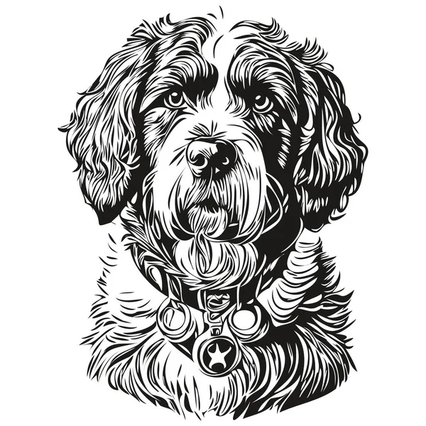 Portekiz Köpeği Vektör Grafikleri Çizimi Kalem Hayvan Çizgisi Çizimi Çizimi — Stok Vektör