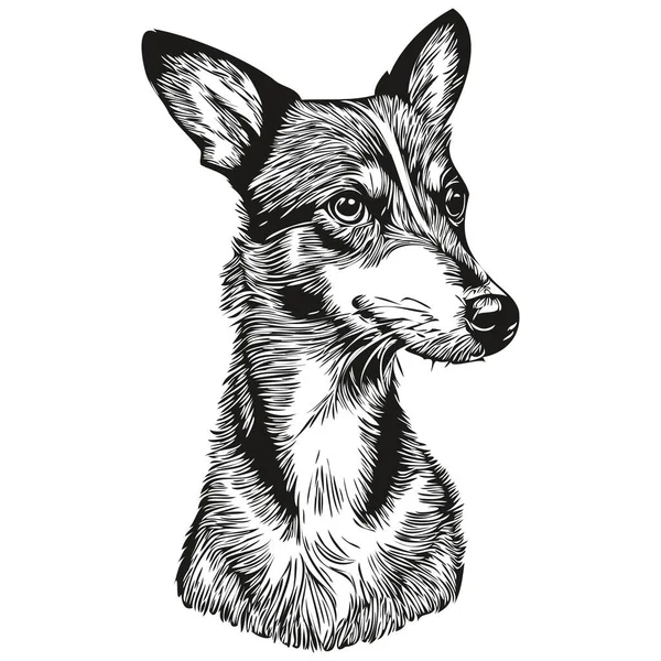 Rat Terrier Dog Hand Drawn Logo Drawing Black White Line — Stock Vector