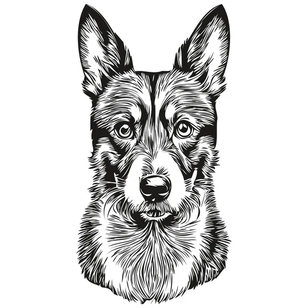 Illustration Ligne Chien Rat Terrier Croquis Encre Noire Blanche Portrait — Image vectorielle