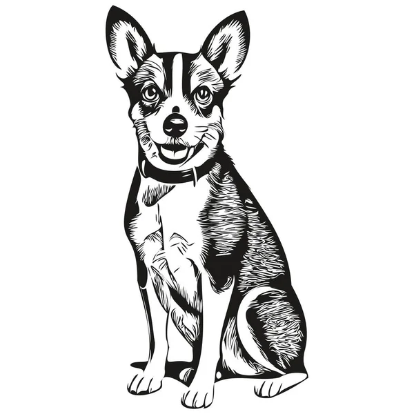 Εικόνα Γραμμής Σκύλου Rat Terrier Ασπρόμαυρο Πορτρέτο Προσώπου Μελάνι Διάνυσμα — Διανυσματικό Αρχείο