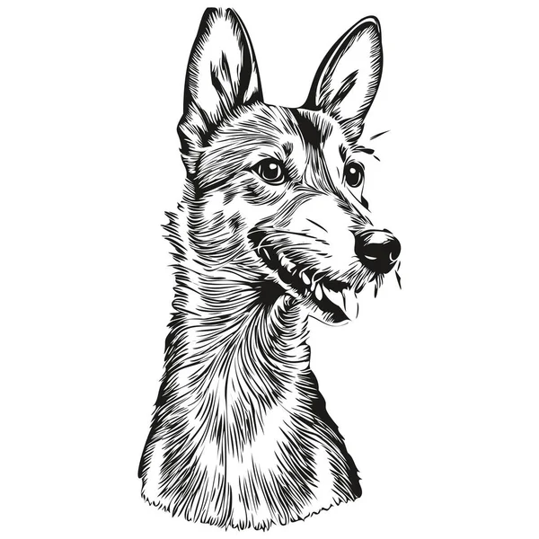 Rat Terrier Dog Outline Pencil Drawing Artwork Black Character White — Stock Vector