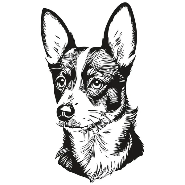 Rat Terrier Chien Contour Crayon Dessin Illustration Caractère Noir Sur — Image vectorielle