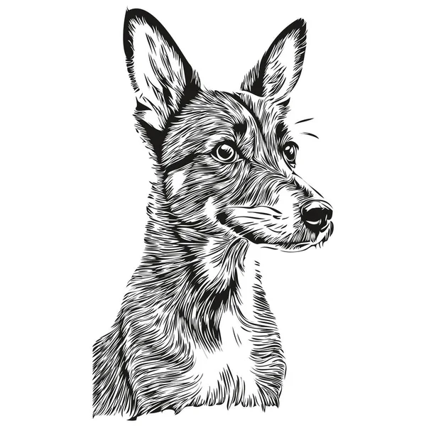 Rat Terrier Pies Zarys Ołówek Rysunek Grafika Czarny Charakter Białym — Wektor stockowy
