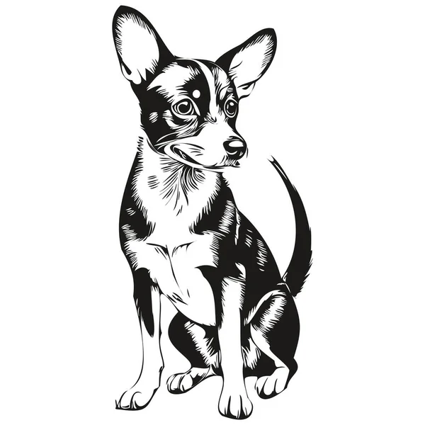 ラットテリア犬ペットのスケッチイラスト 黒と白の彫刻ベクトル — ストックベクタ