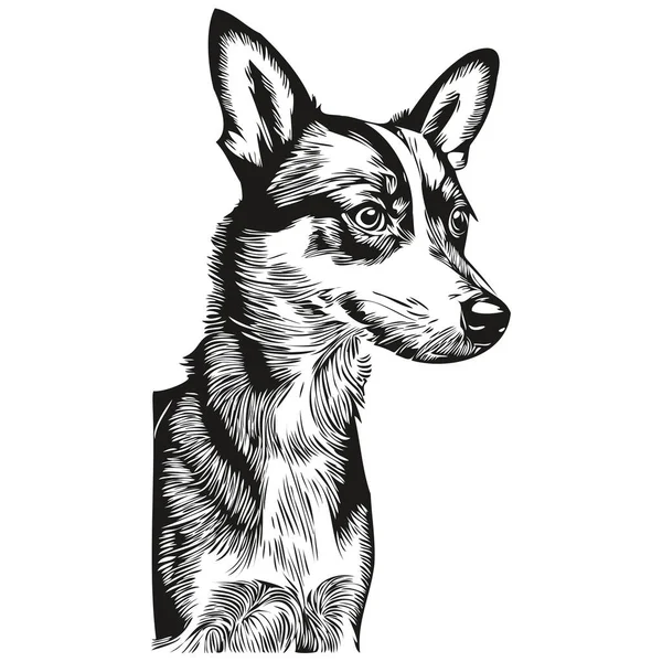 Rat Terrier Dog Portrait Vector Animal Hand Draw Tshirt Tshirt — 스톡 벡터
