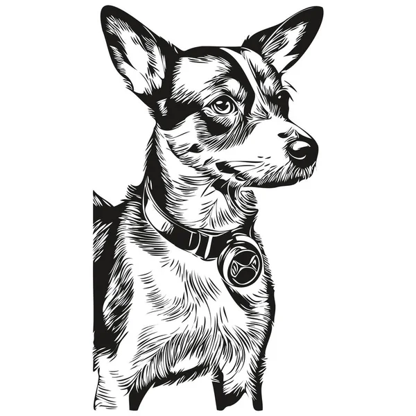Retrato Perro Rat Terrier Vector Dibujo Mano Animal Para Tatuaje — Vector de stock