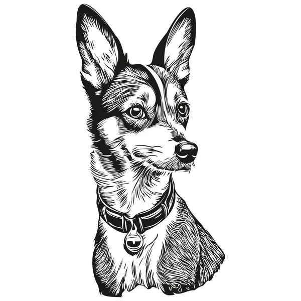 ラットテリア犬現実的な鉛筆画ベクトル 犬の顔の線画黒と白の現実的な品種のペット — ストックベクタ