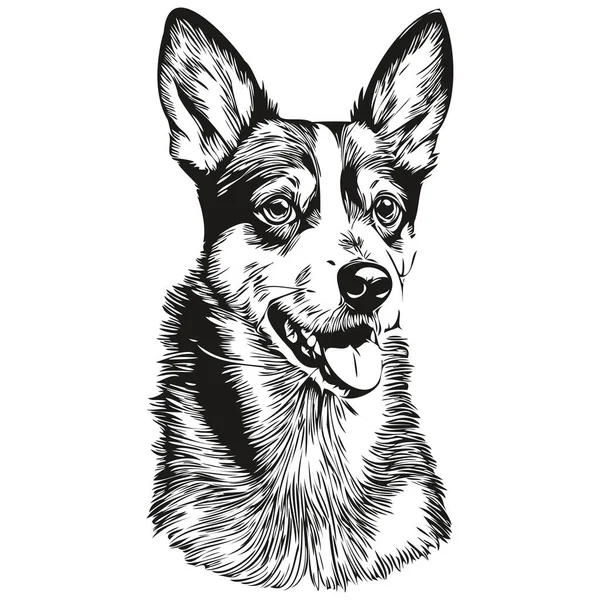 Rat Terrier Dog Realistic Pet Illustration Hand Drawing Face Black — Stock Vector