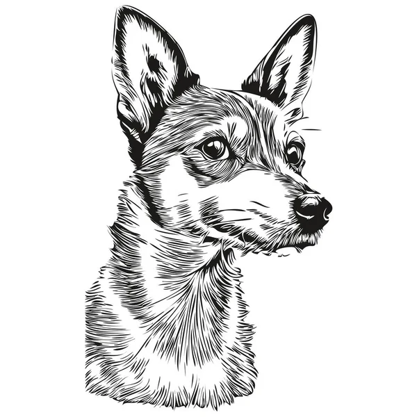 Ratte Terrier Hund Realistische Haustier Illustration Handzeichnung Gesicht Schwarz Weiß — Stockvektor