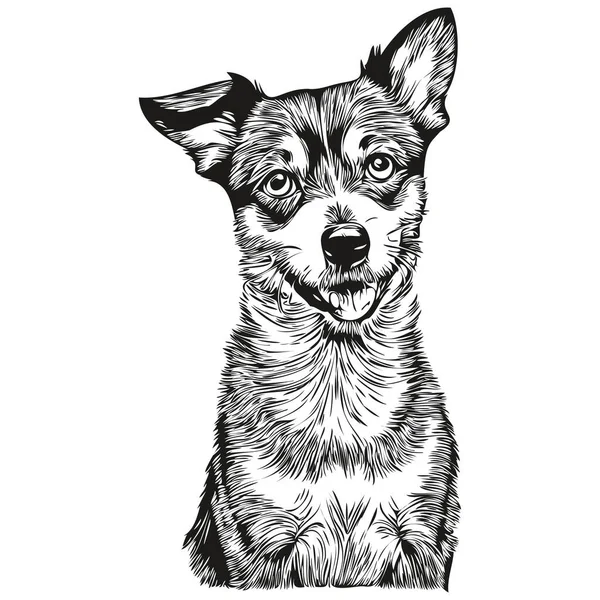 Fare Terrier Köpeği Tişörtü Siyah Beyaz Sevimli Komik Çizim Vektörü — Stok Vektör