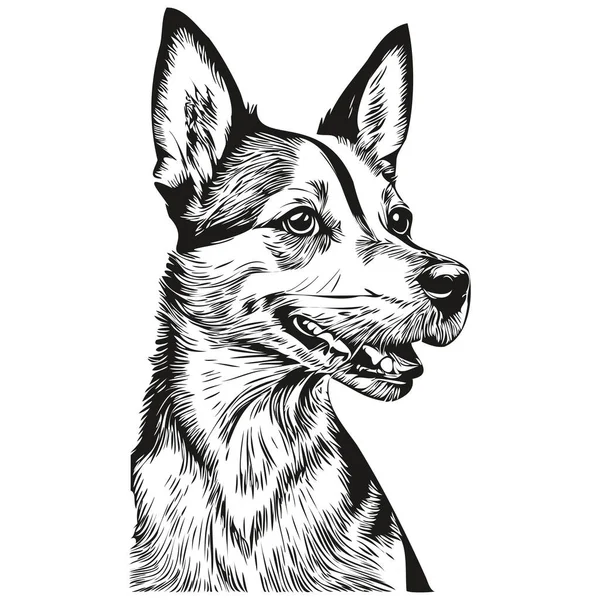 Rat Terrier Chien Vecteur Visage Portrait Dessin Croquis Style Vintage — Image vectorielle