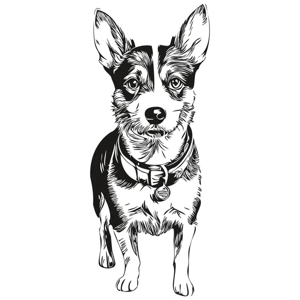 Rat Terrier Cane Grafica Vettoriale Disegnato Mano Matita Animale Linea — Vettoriale Stock